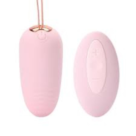 Silicone Egg Vibrator With Remote In Pakistan